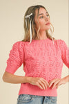 Pointelle Knit Short Sleeve Sweater- French Coral