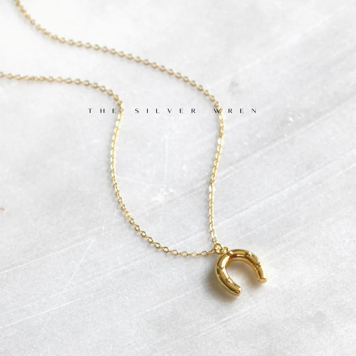 Western Pendant Necklace- Horseshoe