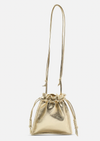 Mini Bowie Crossbody Bag- Champagne Gold