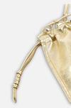 Mini Bowie Crossbody Bag- Champagne Gold