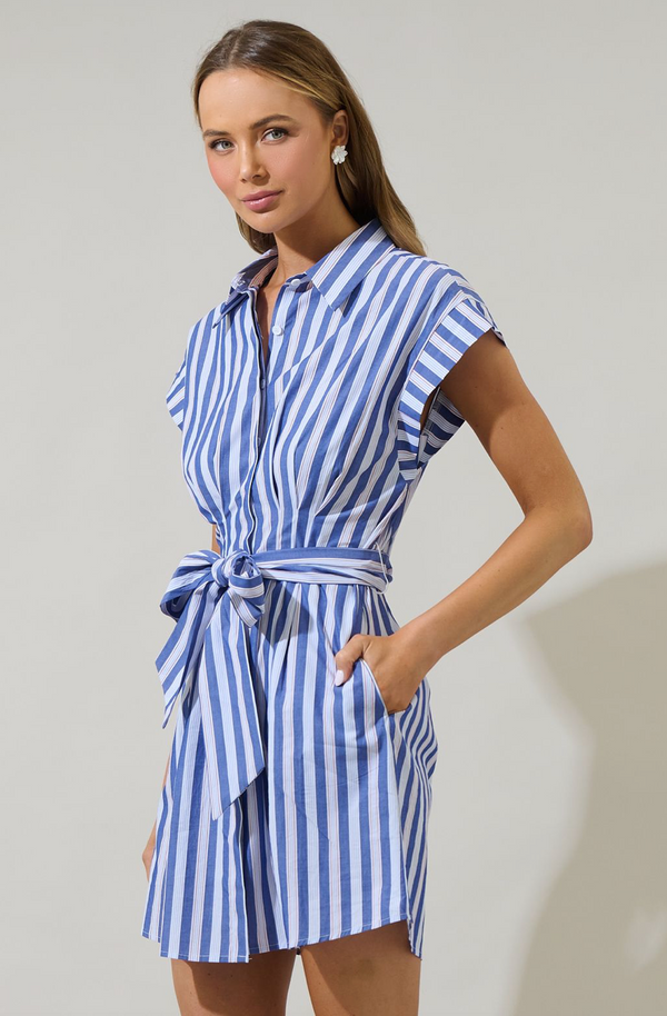 Samera Button Up Mini Dress- Blue Stripe