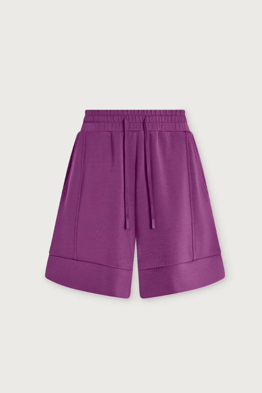 Atrium High Rise Short 4.5- Striking Purple