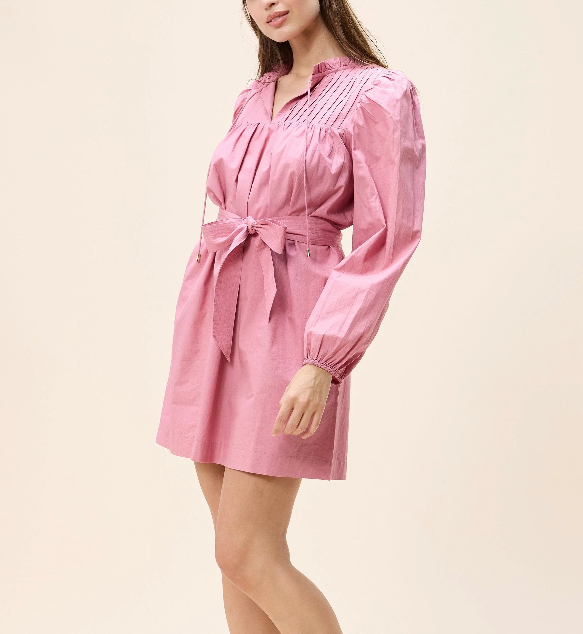 Ivana Cotton Mini Dress- Mesa Rose