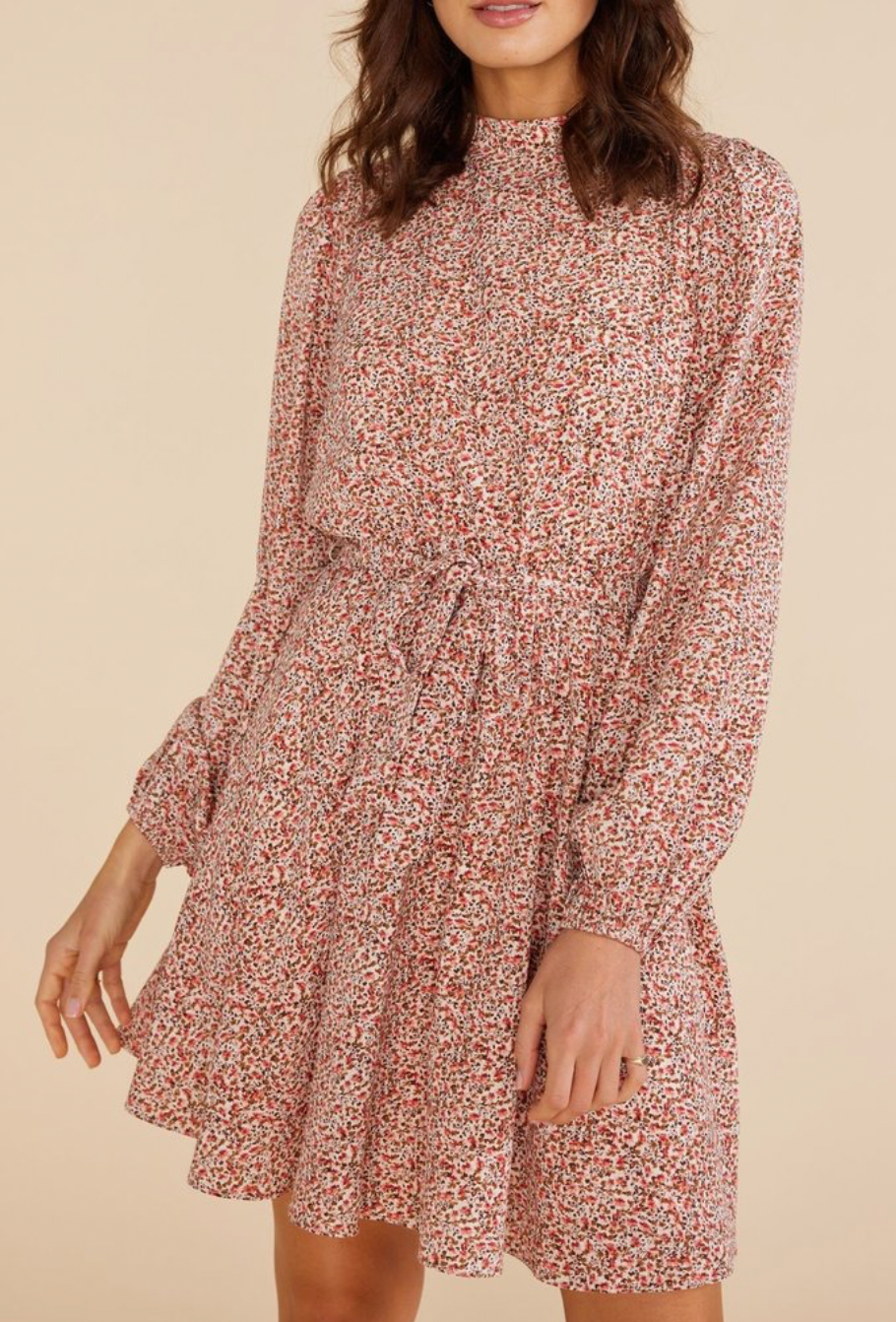 Rosealie Mini Dress *FINAL SALE*